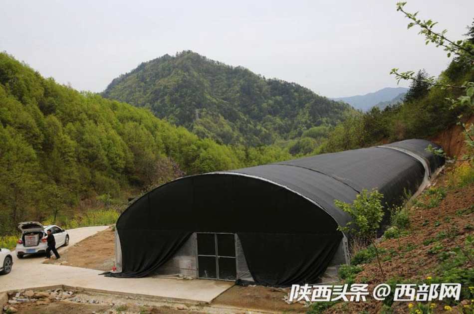 巴山县人口_巴山夜雨图片(2)