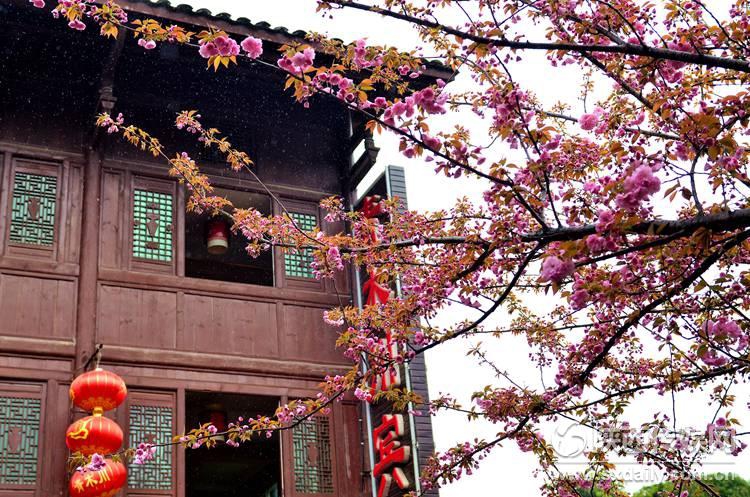 鲜花古镇游玩攻略,鲜花古镇游玩攻略大全