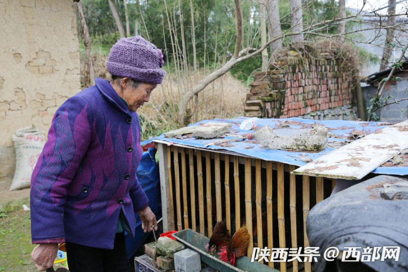 石泉县有多少人口_石泉县城市图片(3)
