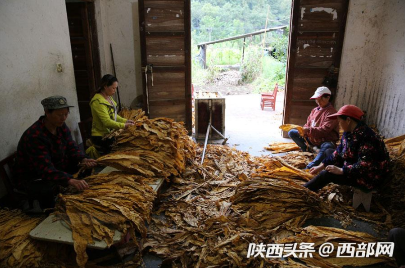 靠烟控制人口(3)