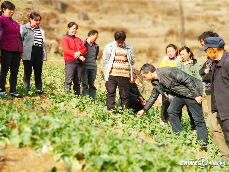 宁强县人口_柴油罐车侧翻泄露 宁强消防奋力排险(3)