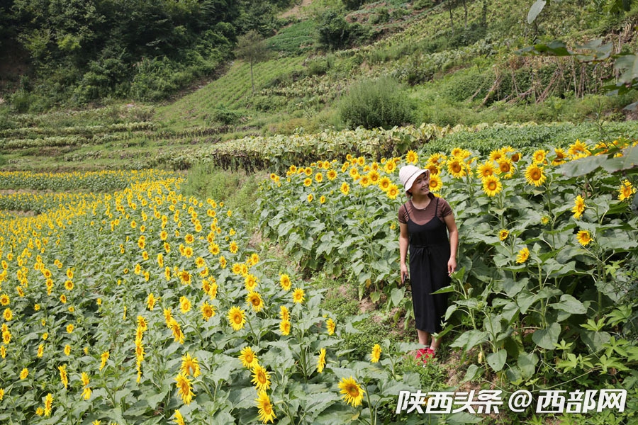 深深地 NhrO-hhzsnea9028172.jpg