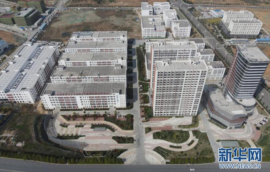 城镇就业人口_城镇常住人口增长背景