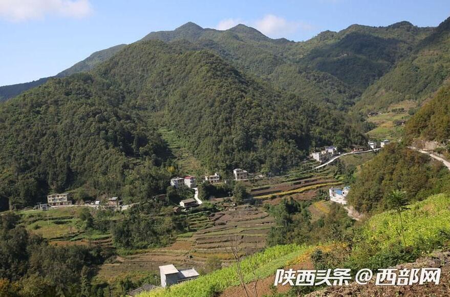兴业县山心镇良星村人口_兴业县山心镇龙江村(3)