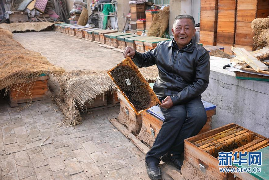 密蜂养殖箱 e390-kcpxnwv7330617.png