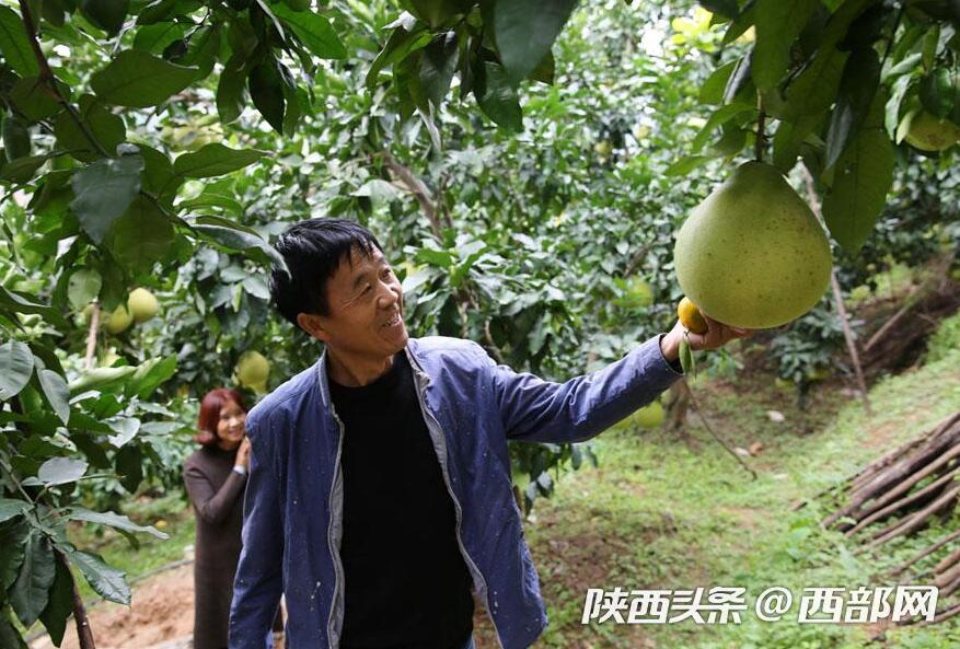 旬阳市有多少人口_旬阳市