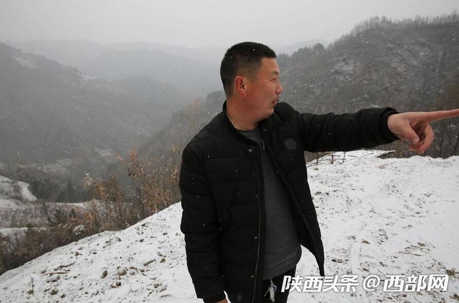 万果园老总经历_果园卡通图片(2)