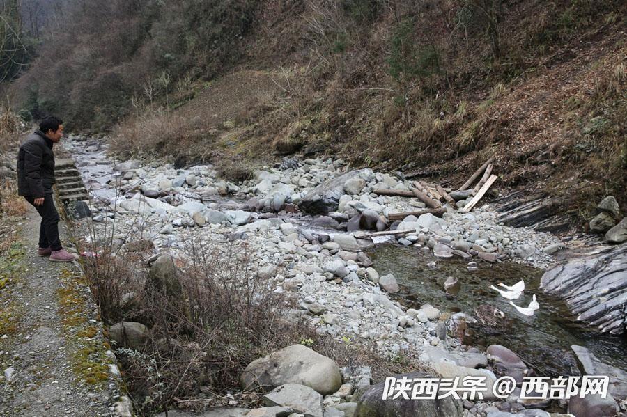 镇坪镇人口_安康镇坪黄安坝地形图(3)