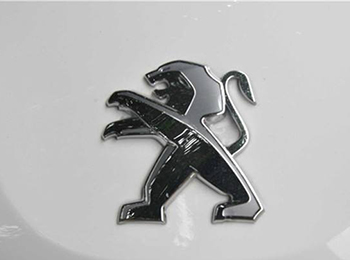 東風(fēng)標(biāo)致