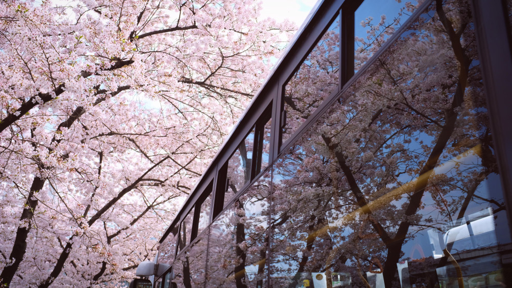 上海最美的公交站臺