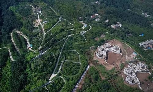 建设中的大熊猫国家公园。