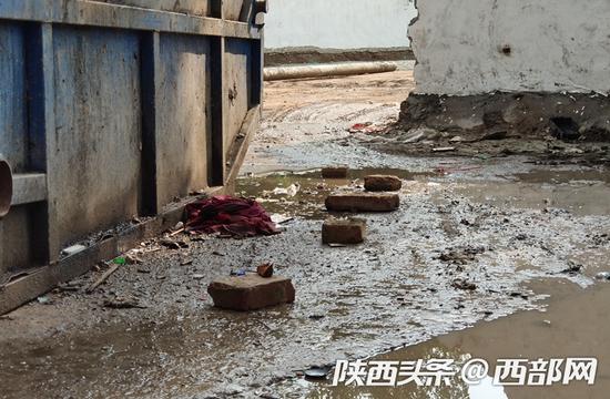 因垃圾堆積許久，周圍地面上滲出了一些污水，味道惡臭無比。