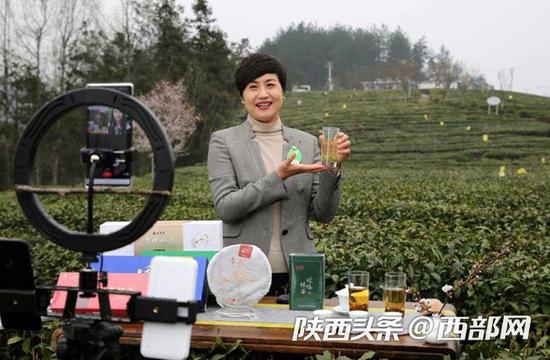 紫陽縣縣長陳蓮為紫陽縣富硒茶做代言助農(nóng)增收