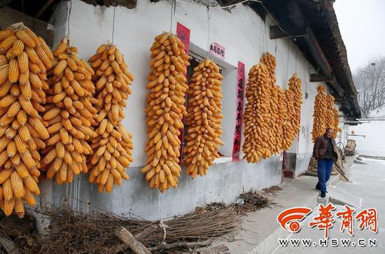 袁增貴56歲，未婚，還有一個智障的哥哥也未婚，兄弟兩人和母親一起生活