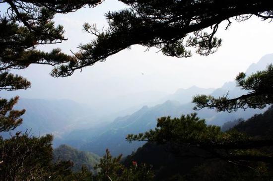 顺利出山