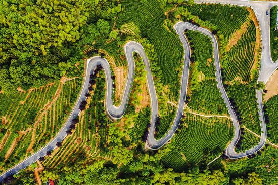 5月24日,在平利县长安镇高峰村,蜿蜒在茶山之中的柏油路。