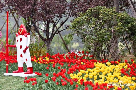 40萬株郁金香席卷西安植物園，生日當天免費入園。