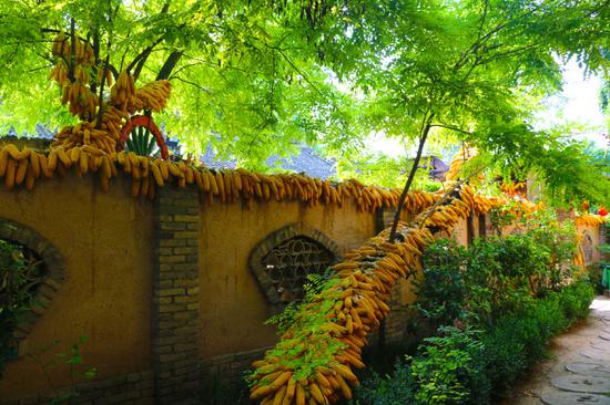 特色小院,独家景观。。。。。。。。。