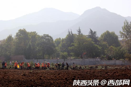 在云中漫步違建別墅項目原址,將栽植1.2萬余棵油松。
