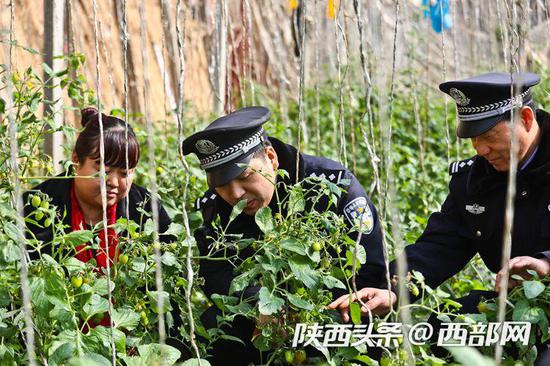 查验大棚安全设施,确保群众舌尖上的安全。
