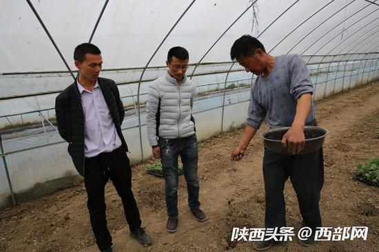 施肥。用的肥是有機(jī)肥。