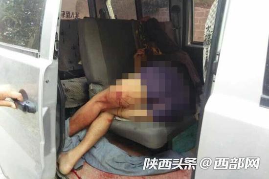 陳某出門(mén)與羚牛正面相遇，被牛角頂傷。