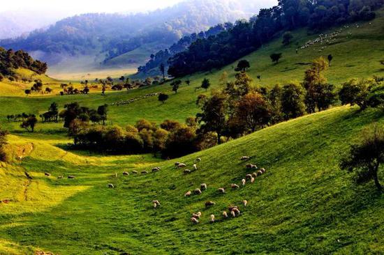 宝鸡旅游优惠升级 10家A级景区4月25日前免费游