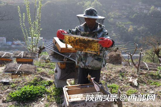 段家河镇人口_人口普查图片(2)