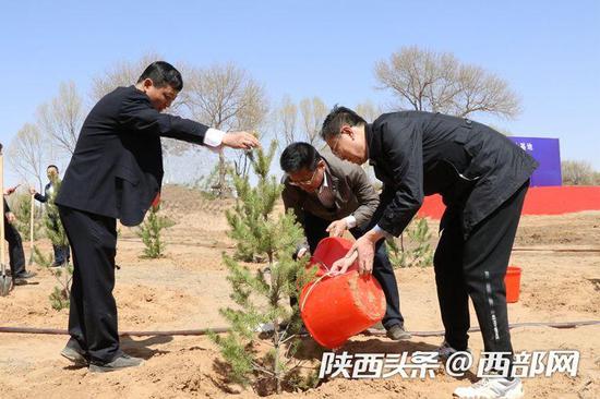 定邊建3400畝檢察公益林基地