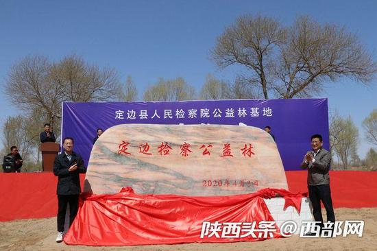 定邊建3400畝檢察公益林基地
