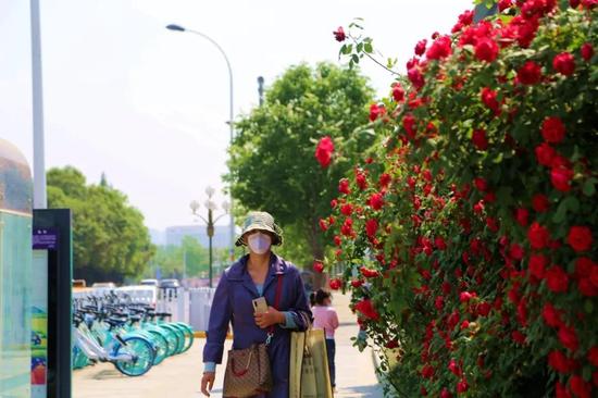 绿色环绕,鲜花相伴,西安会展新地标真靓!
