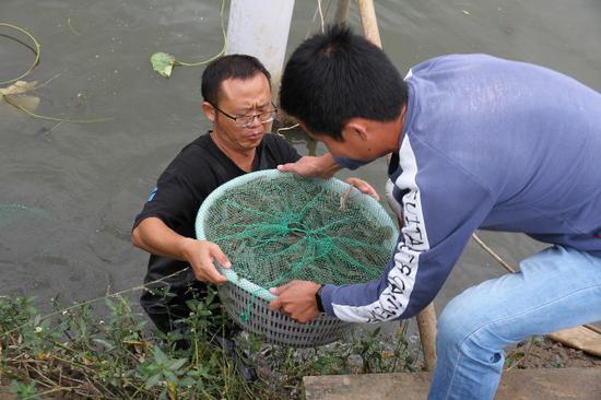 南郑人口数量_汉中南郑区地图(3)