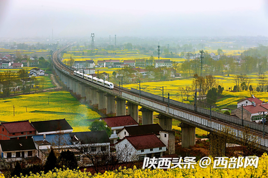3月陕西汉中两区九县百万亩油菜花相继盛开,犹如金色海洋。