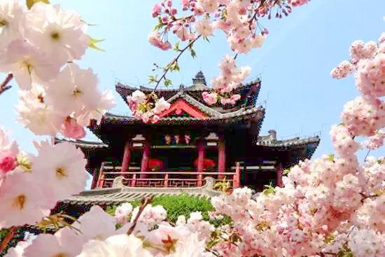 西安青龙寺遗址景区