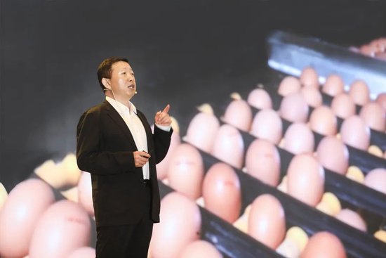 黄马甲公司副总经理张建鹏做品牌解读