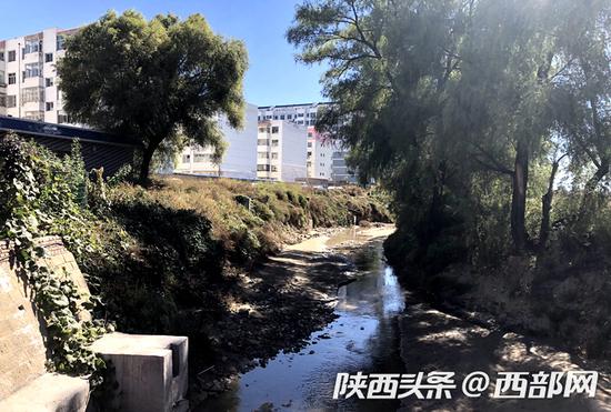 榆阳河两岸绿树成荫,河水水质较之前有了很大提升。