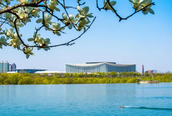 金融橄榄枝，助力会展企业健康发展