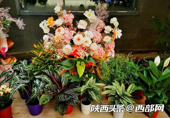 近期市民们最喜欢购买的是竹子和芍药花。