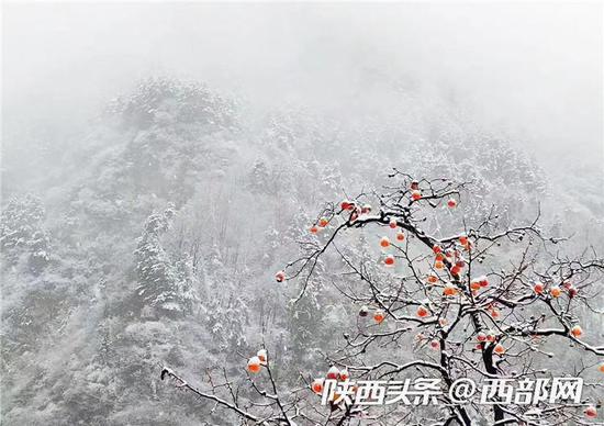  最冷跨年夜来袭！西安城区最低气温降至-10~-8℃ 。