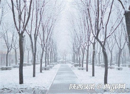 道路结冰黄色预警继续发布,西安降雪将在今天结束,本周天气将以阴天为主。