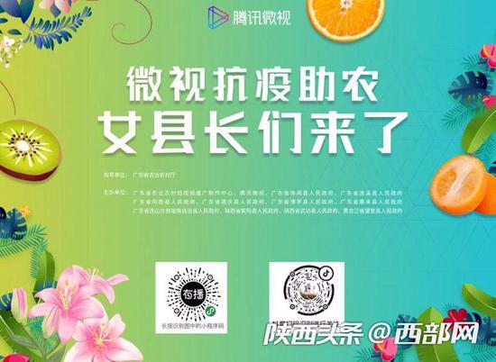 宣傳紫陽縣縣長陳蓮為茶農(nóng)代言
