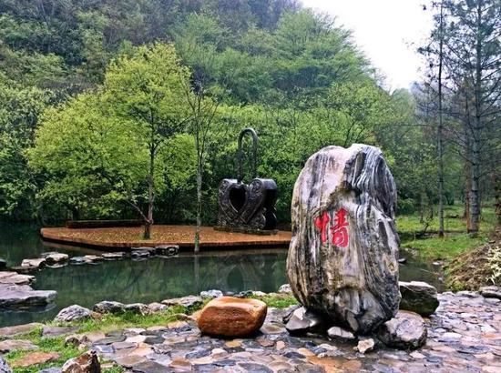 谷内生有500亩12年生的落叶松林。林内松树枝叶遮天蔽日,清幽静谧。