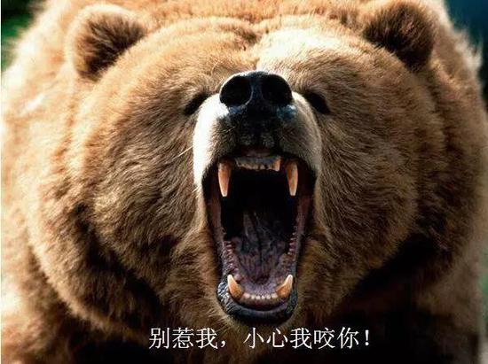 具体详情