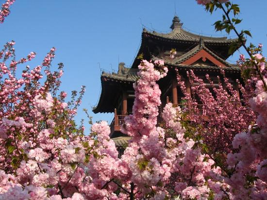青龙寺