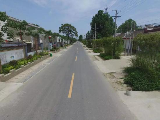 通村公路两侧绿树成荫