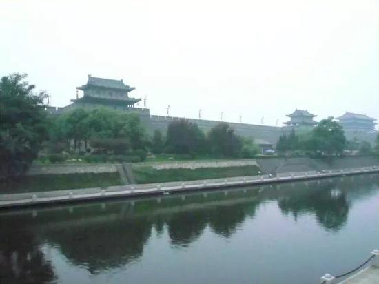 青荇悠然地在水里招摇
