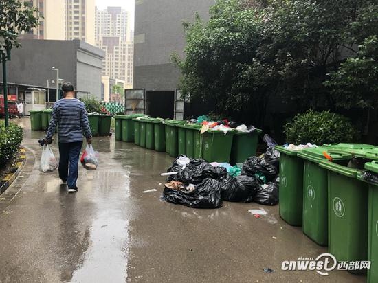 和城小区北门垃圾池乱象