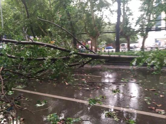 西安市东郊一小区门口狂风暴雨将吹倒雨天户外一定要注意安全