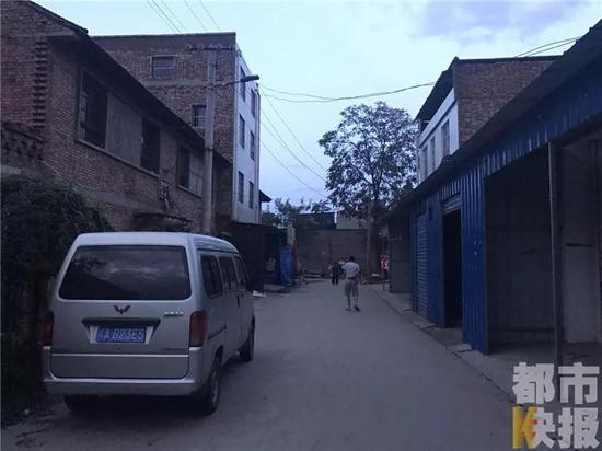 消防人員：“夏天基本從五月開始到十月，蜂窩就很多，警情也特別多。”