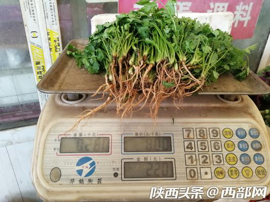 菜摊上仅有半斤多的香菜出售。